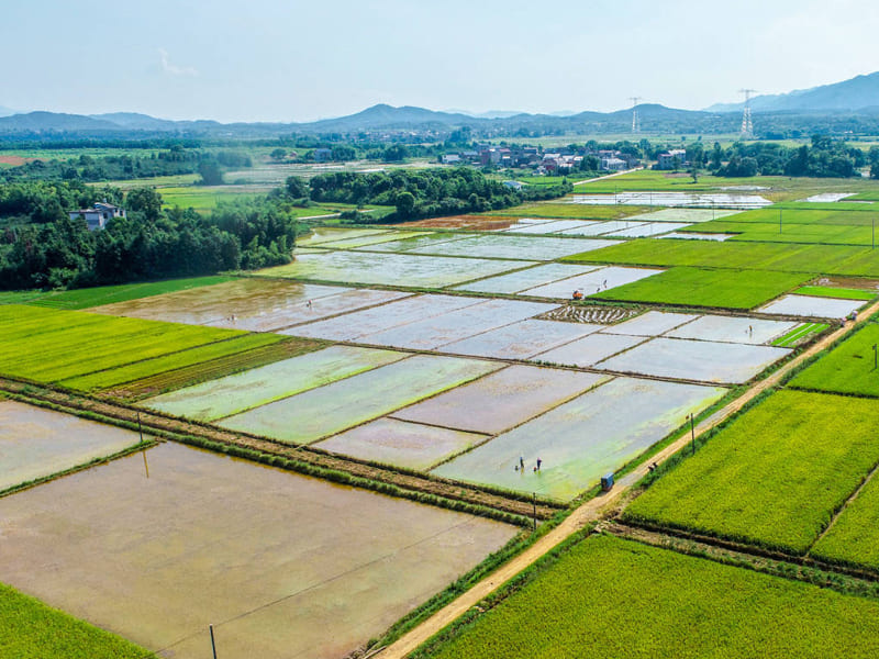 恒美科技助力高標(biāo)準(zhǔn)農(nóng)田建設(shè)，推進(jìn)農(nóng)業(yè)現(xiàn)代化